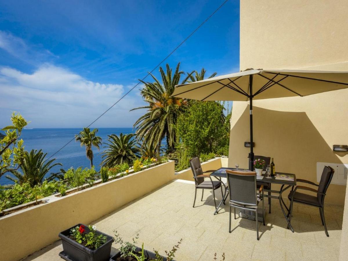 Pully Appartement